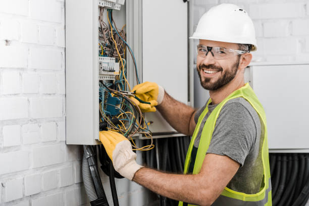 Best Licensed Electrician  in Detroit Beach, MI