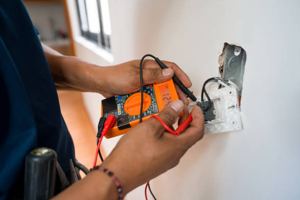 Best Home Electrical Repair  in Detroit Beach, MI