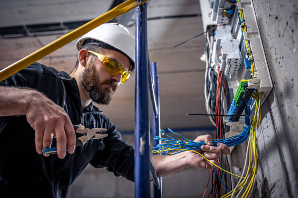 Best Ceiling Fan Installation Electrician  in Detroit Beach, MI