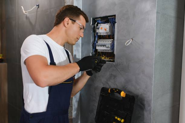 Best Generator Installation Services  in Detroit Beach, MI