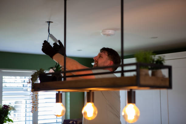Best Electrician Near Me  in Detroit Beach, MI