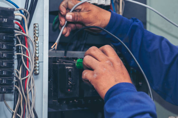 Best Electrical Installation Contractor  in Detroit Beach, MI