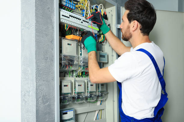 Best Local Electrician Companies  in Detroit Beach, MI