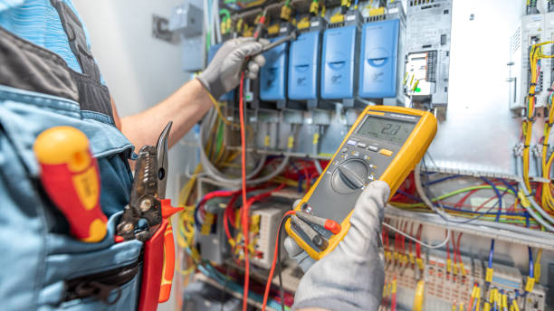 Best Electrical Troubleshooting Services  in Detroit Beach, MI